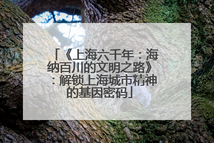 《上海六千年：海纳百川的文明之路》：解锁上海城市精神的基因密码