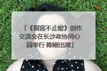 《铜官不止窑》创作交流会在长沙政协同心园举行 陈刚出席