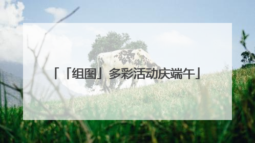 「组图」多彩活动庆端午