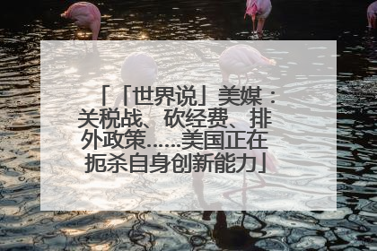 「世界说」美媒：关税战、砍经费、排外政策……美国正在扼杀自身创新能力