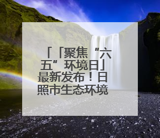 「聚焦“六五”环境日」最新发布！日照市生态环境质量状况“出炉”
