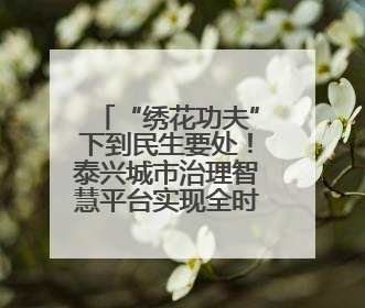 “绣花功夫”下到民生要处！泰兴城市治理智慧平台实现全时段联网全要素细治