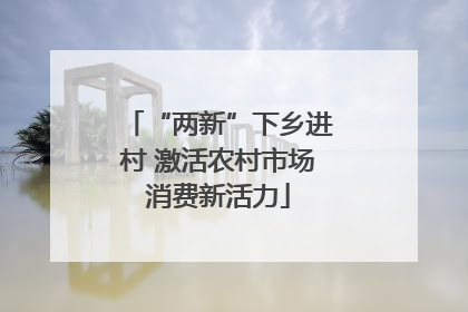 “两新”下乡进村 激活农村市场消费新活力