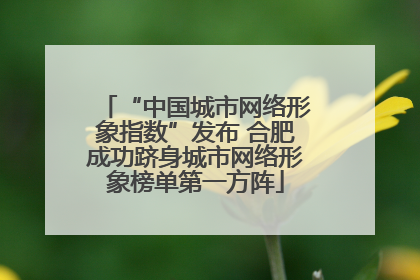 “中国城市网络形象指数”发布 合肥成功跻身城市网络形象榜单第一方阵