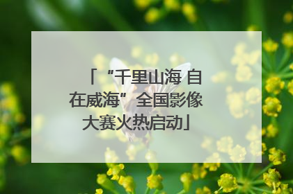 “千里山海 自在威海”全国影像大赛火热启动