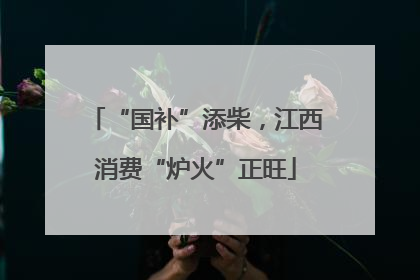 “国补”添柴，江西消费“炉火”正旺