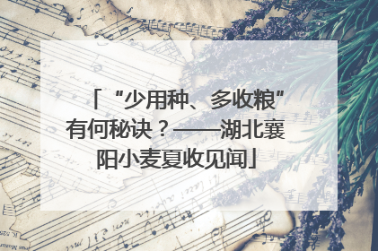 “少用种、多收粮”有何秘诀？——湖北襄阳小麦夏收见闻