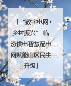 “数字电网+乡村振兴” 临汾供电智慧配电网赋能山区民生升级