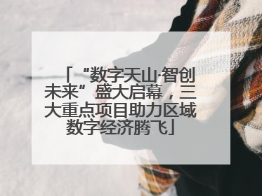 “数字天山·智创未来”盛大启幕，三大重点项目助力区域数字经济腾飞