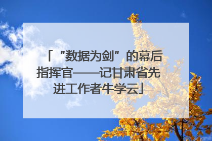 “数据为剑”的幕后指挥官——记甘肃省先进工作者牛学云
