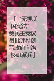 “无视美国宪法” 美民主党议员批评特朗普政府向洛杉矶派兵