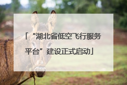 “湖北省低空飞行服务平台”建设正式启动