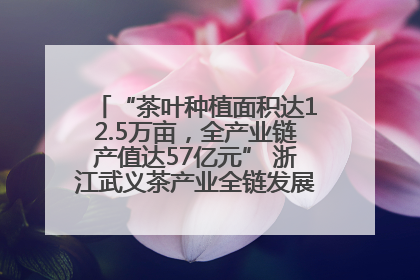 “茶叶种植面积达12.5万亩，全产业链产值达57亿元” 浙江武义茶产业全链发展“加速度”