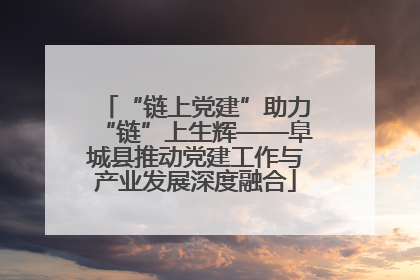 “链上党建”助力“链”上生辉——阜城县推动党建工作与产业发展深度融合