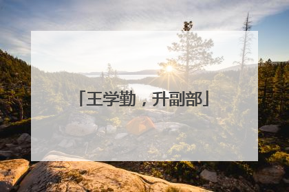 王学勤，升副部