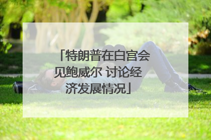 特朗普在白宫会见鲍威尔 讨论经济发展情况