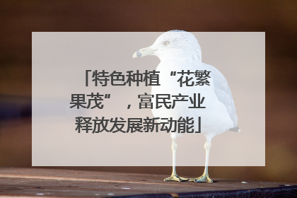 特色种植“花繁果茂”，富民产业释放发展新动能