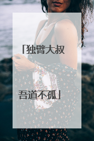 独臂大叔 吾道不孤
