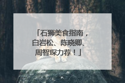 石狮美食指南，白岩松、陈晓卿、周智琛力荐！