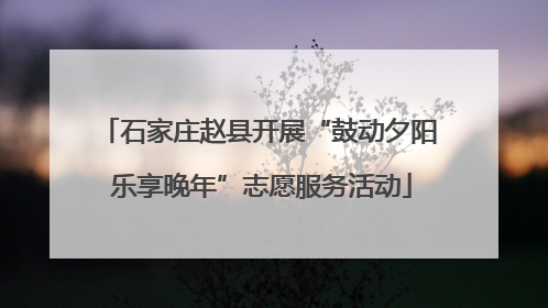 石家庄赵县开展“鼓动夕阳 乐享晚年”志愿服务活动