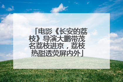 电影《长安的荔枝》导演大鹏带茂名荔枝进京，荔枝热甜透荧屏内外