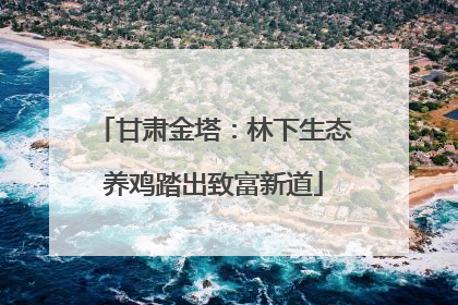 甘肃金塔：林下生态养鸡踏出致富新道
