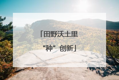田野沃土里“种”创新