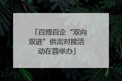 百博百企“双向双进”供需对接活动在蓉举办