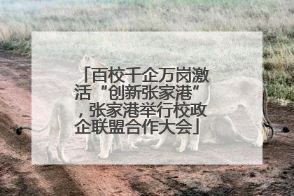 百校千企万岗激活“创新张家港”，张家港举行校政企联盟合作大会