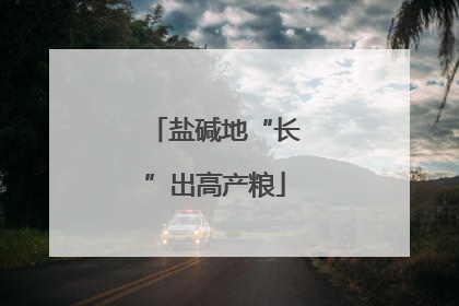 盐碱地“长”出高产粮