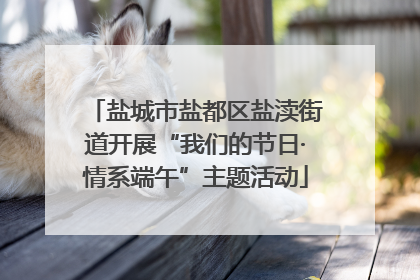 盐城市盐都区盐渎街道开展“我们的节日·情系端午”主题活动