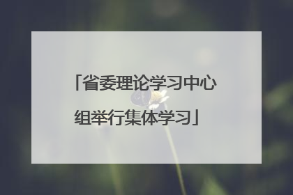 省委理论学习中心组举行集体学习