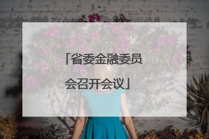 省委金融委员会召开会议
