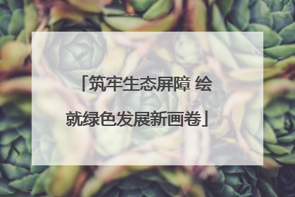 筑牢生态屏障 绘就绿色发展新画卷