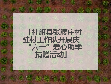 社旗县张腰庄村驻村工作队开展庆“六一”爱心助学捐赠活动