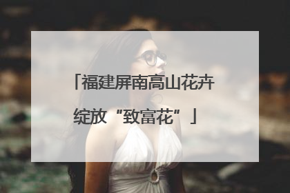 福建屏南高山花卉绽放“致富花”