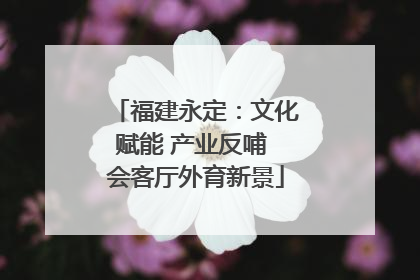 福建永定：文化赋能 产业反哺 会客厅外育新景