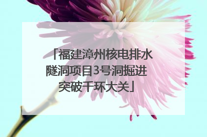 福建漳州核电排水隧洞项目3号洞掘进突破千环大关