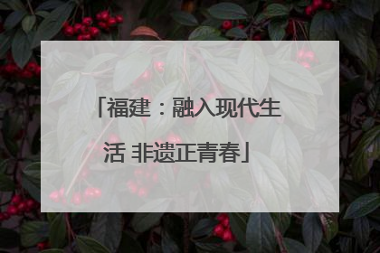 福建：融入现代生活 非遗正青春