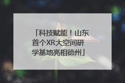 科技赋能！山东首个XR大空间研学基地亮相德州