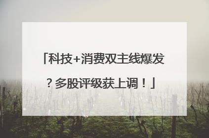 科技+消费双主线爆发？多股评级获上调！