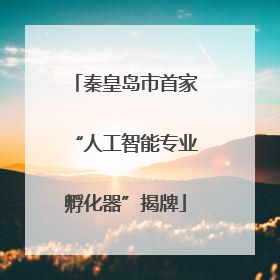 秦皇岛市首家“人工智能专业孵化器”揭牌