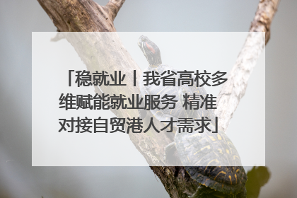 稳就业丨我省高校多维赋能就业服务 精准对接自贸港人才需求