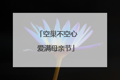 空巢不空心 爱满母亲节