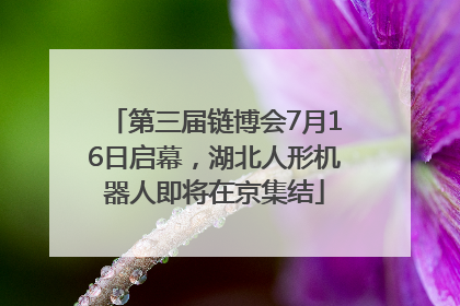 第三届链博会7月16日启幕，湖北人形机器人即将在京集结