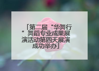 第二届“华舞行”舞蹈专业成果展演活动第四天展演成功举办