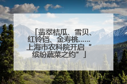 翡翠桔瓜、雪贝、红铃铛、金寿桃……上海市农科院开启“缤纷蔬菜之约”