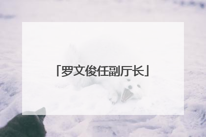 罗文俊任副厅长