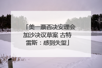 美一票否决安理会加沙决议草案 古特雷斯：感到失望
