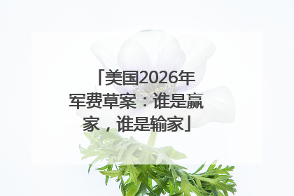 美国2026年军费草案：谁是赢家，谁是输家